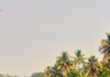 Magical Kerala: Backwaters and Mountains Kerala Backwaters